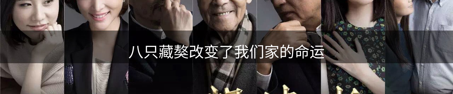 公司观察