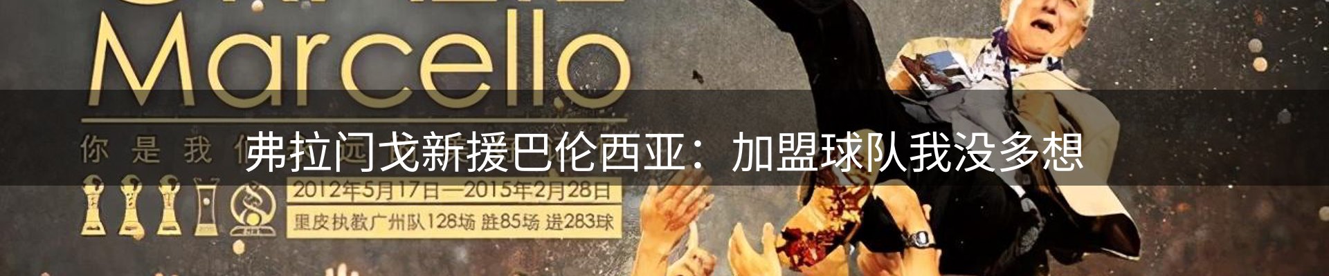 公司观察