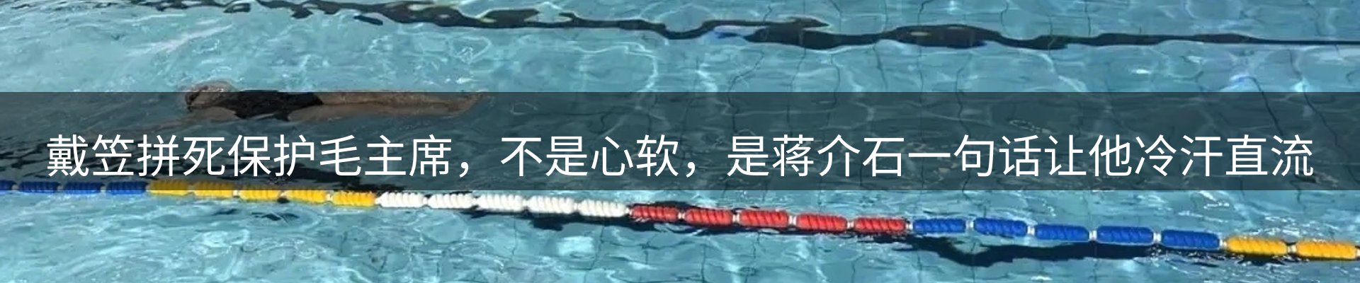 公司观察